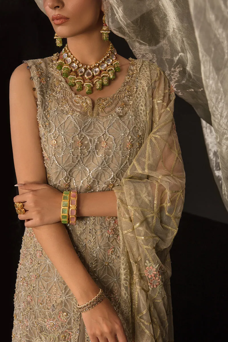 ANA || CHATOYER WEDDING FORMALS || RANG RASIYA