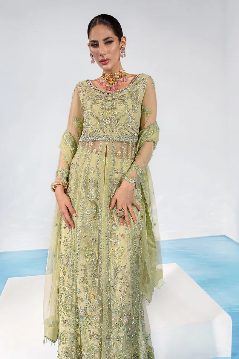 CATALINA || CHATOYER WEDDING FORMALS || RANG RASIYA