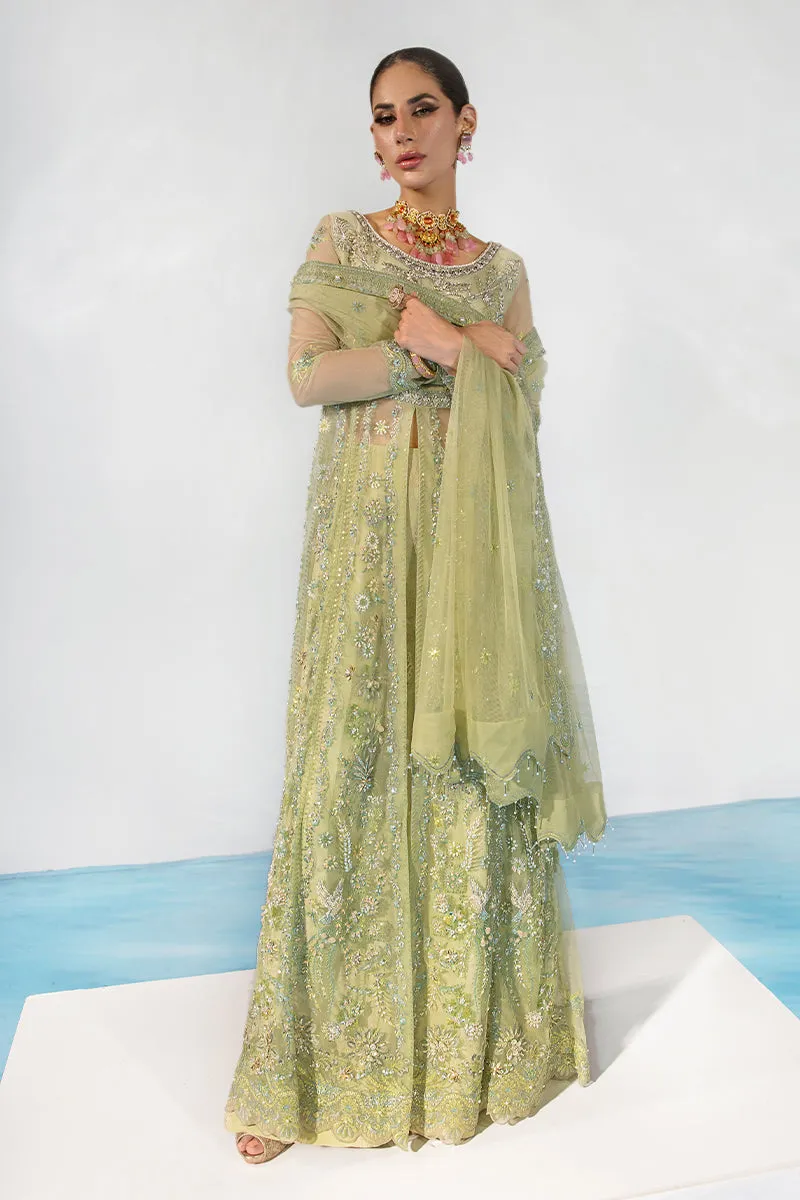 CATALINA || CHATOYER WEDDING FORMALS || RANG RASIYA
