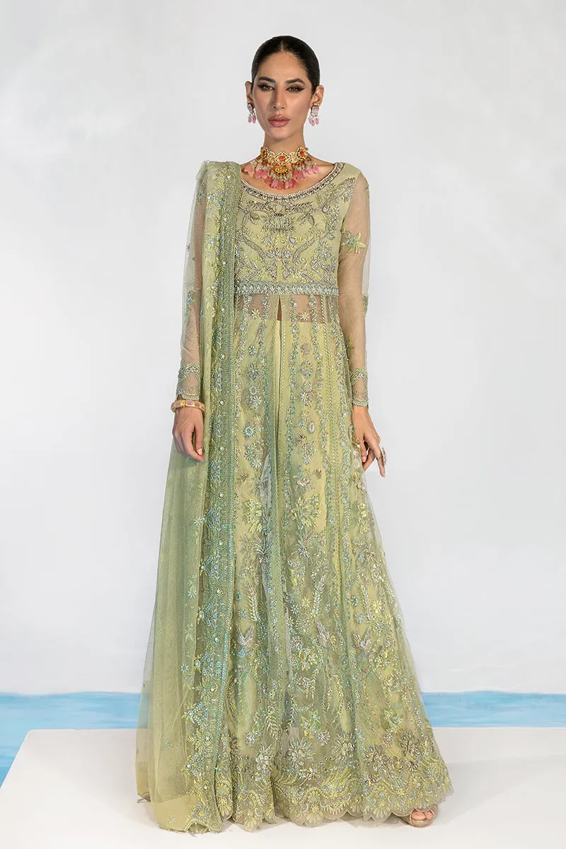 CATALINA || CHATOYER WEDDING FORMALS || RANG RASIYA
