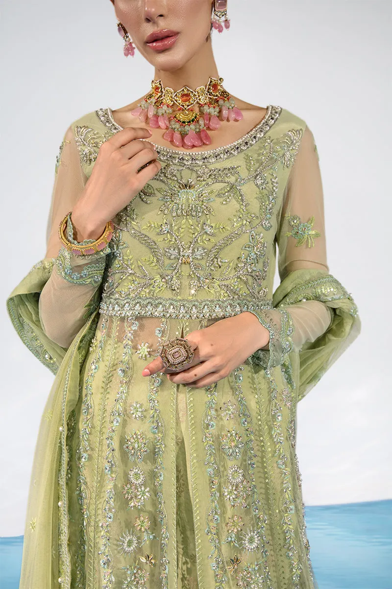 CATALINA || CHATOYER WEDDING FORMALS || RANG RASIYA