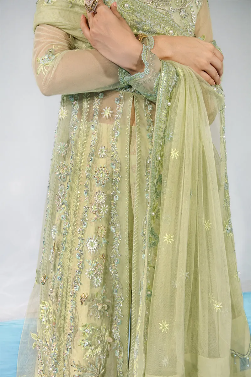 CATALINA || CHATOYER WEDDING FORMALS || RANG RASIYA