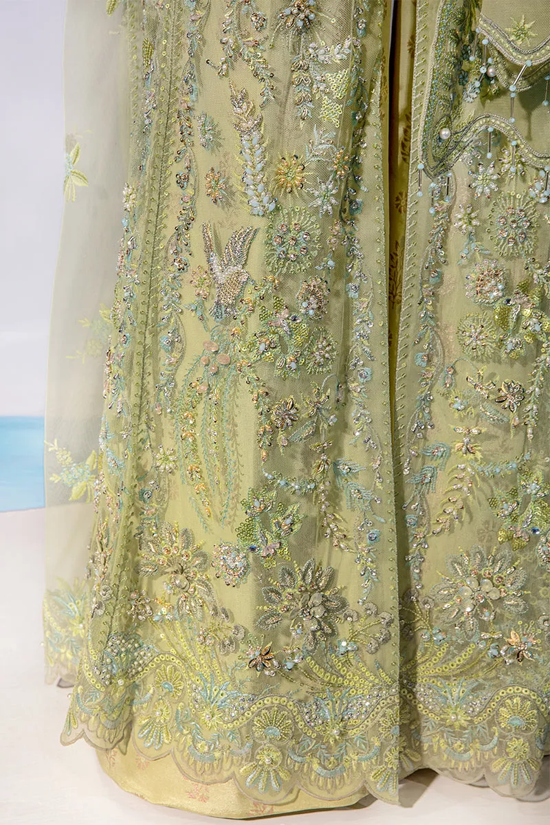 CATALINA || CHATOYER WEDDING FORMALS || RANG RASIYA