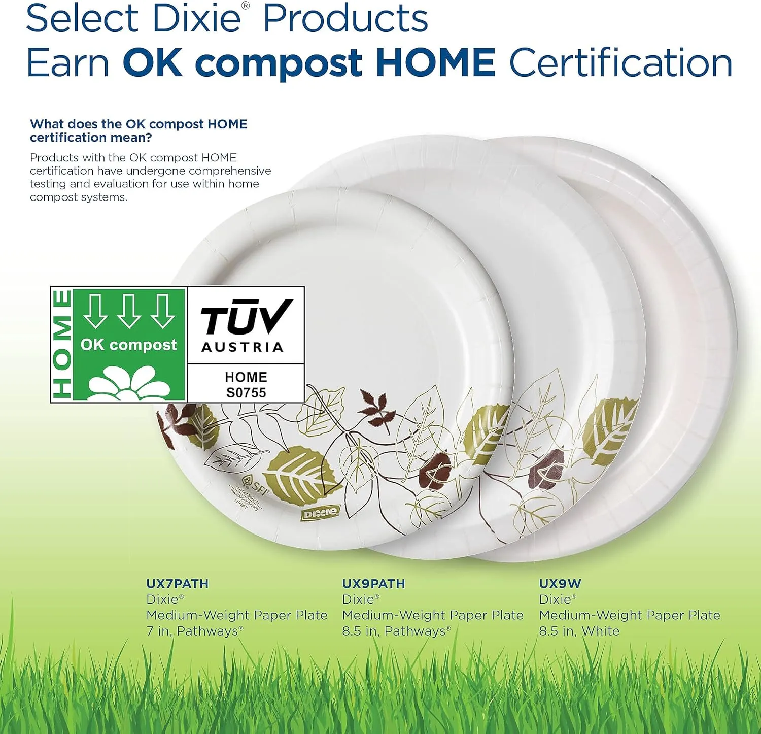 Dixie 8.5" Medium-Weight Paper Plates by GP PRO (Georgia-Pacific), Pathways, UX9WS, 500 Count (125 Plates Per Pack, 4 Packs Per Case)