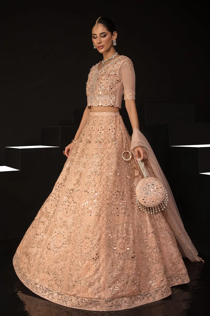 ELENA || CHATOYER WEDDING FORMALS || RANG RASIYA