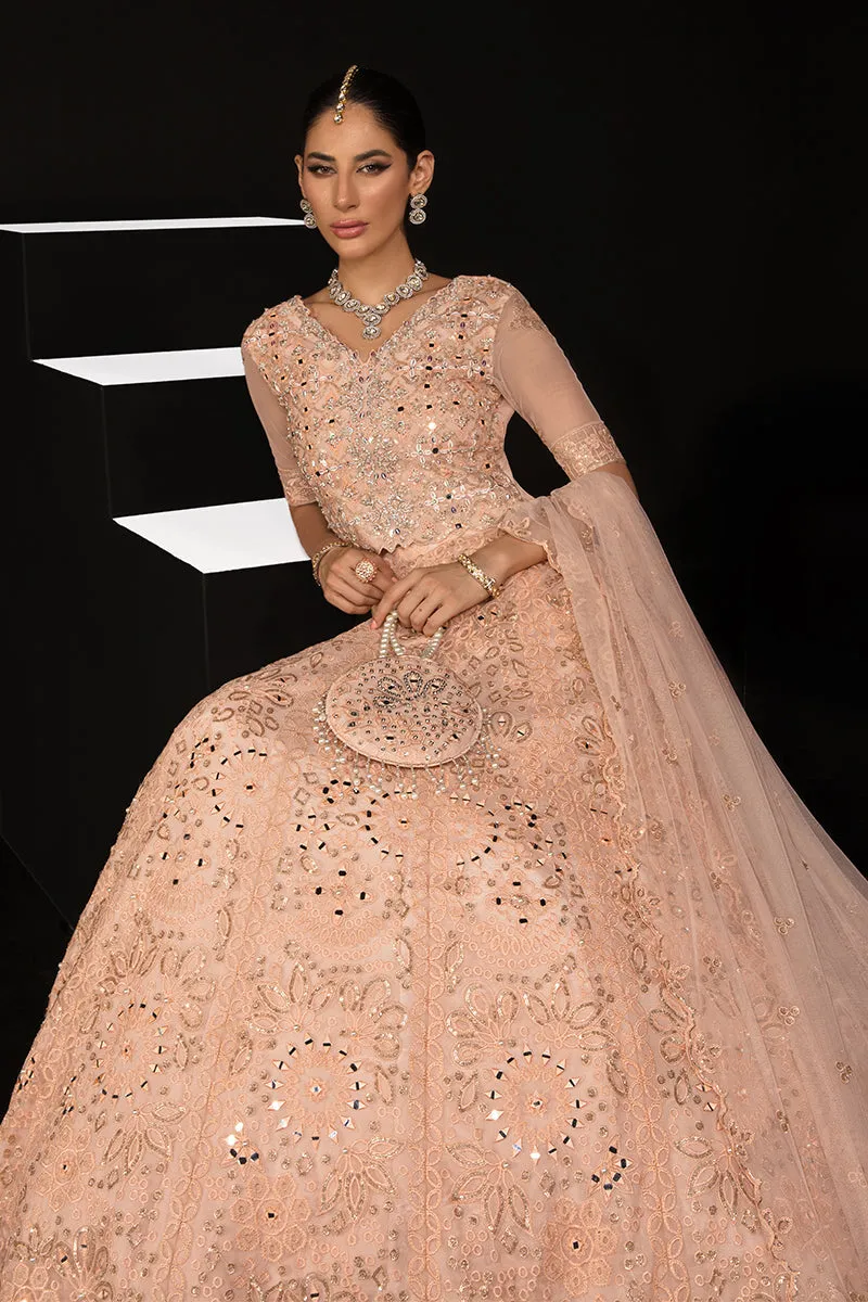 ELENA || CHATOYER WEDDING FORMALS || RANG RASIYA