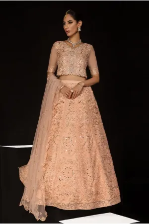ELENA || CHATOYER WEDDING FORMALS || RANG RASIYA
