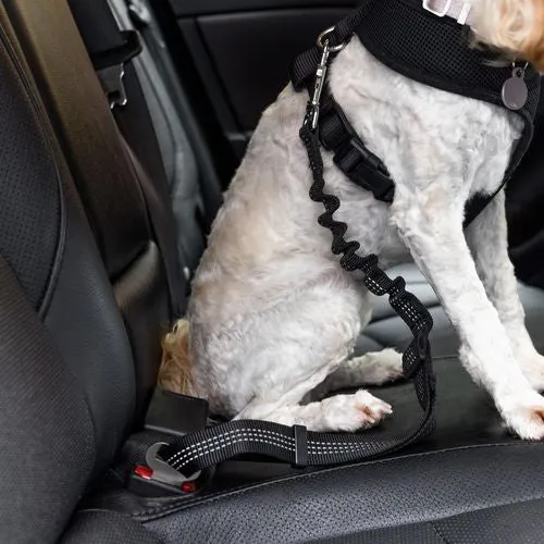 Happy Tails - Pet Seat Belt