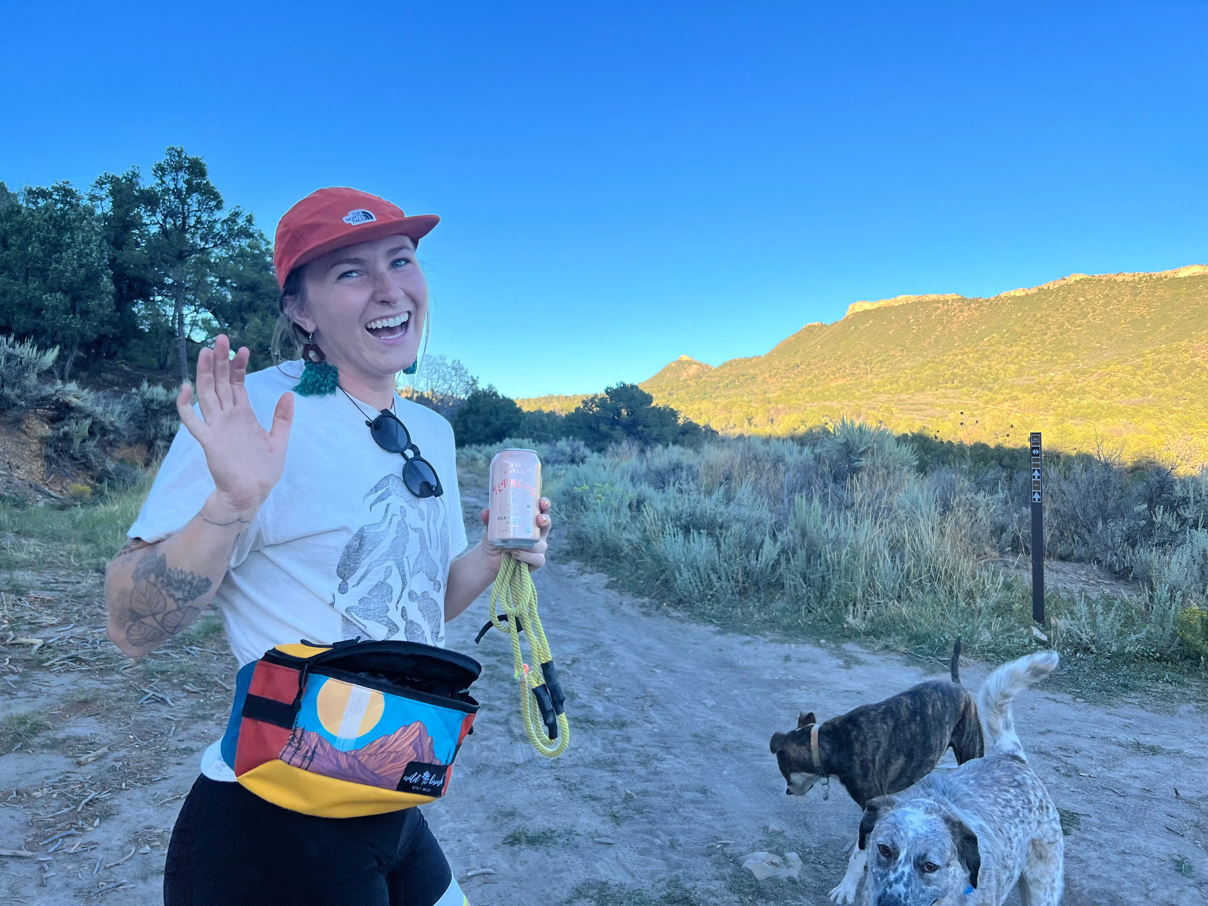 Line Mountain Hip Pack