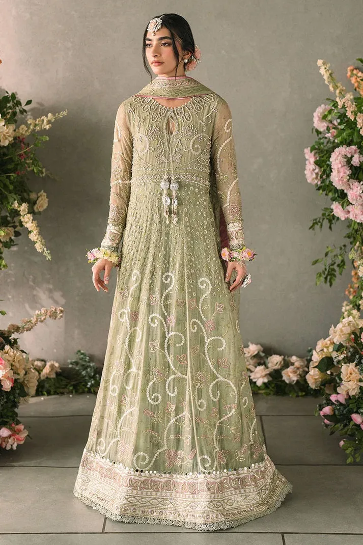 Mushq Mastani Formal MCH-10 (Namar)