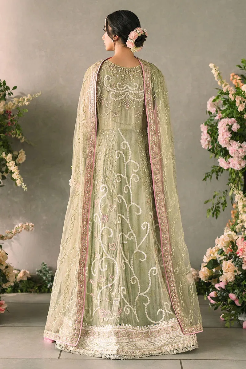 Mushq Mastani Formal MCH-10 (Namar)