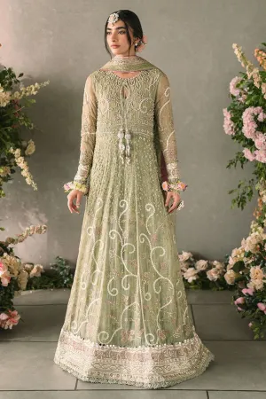 Mushq Mastani Formal MCH-10 (Namar)