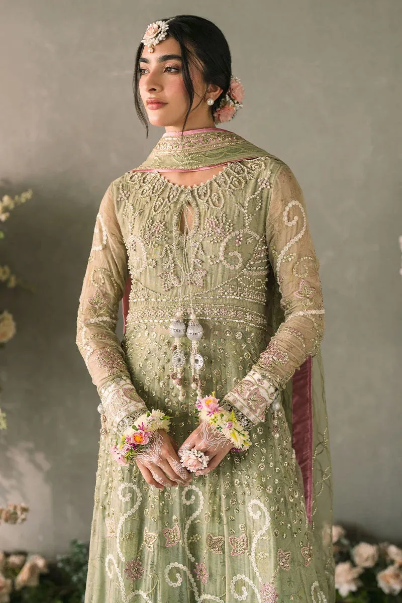 Mushq Mastani Formal MCH-10 (Namar)