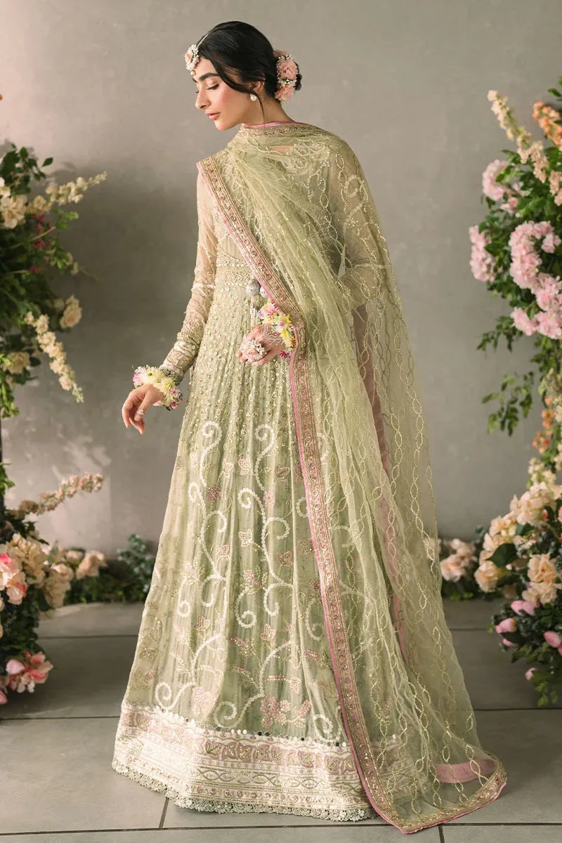 Mushq Mastani Formal MCH-10 (Namar)