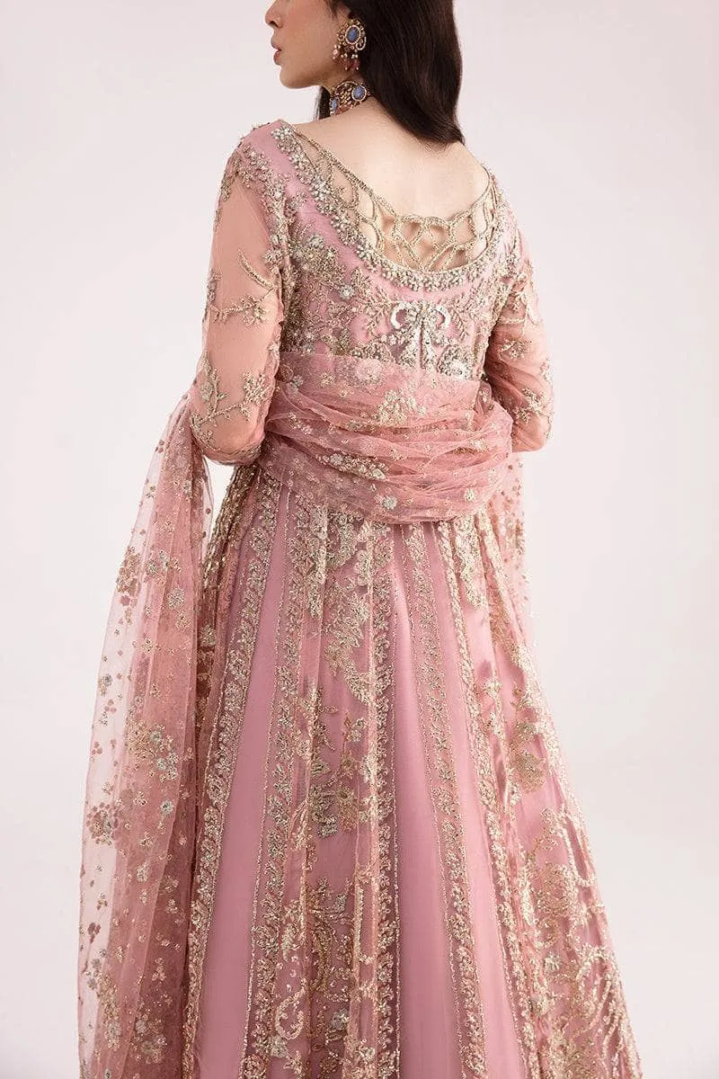 Mushq Stardust Wedding/Luster