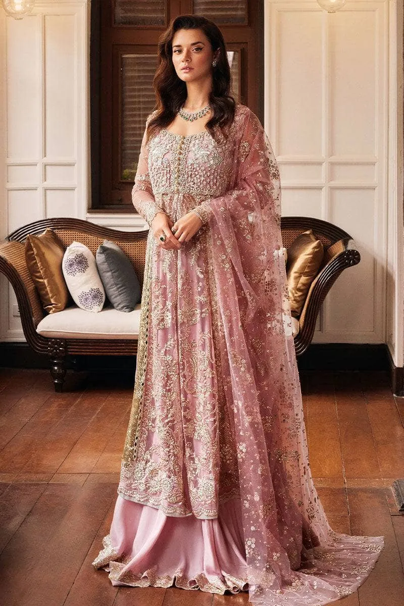 Mushq Stardust Wedding/Luster