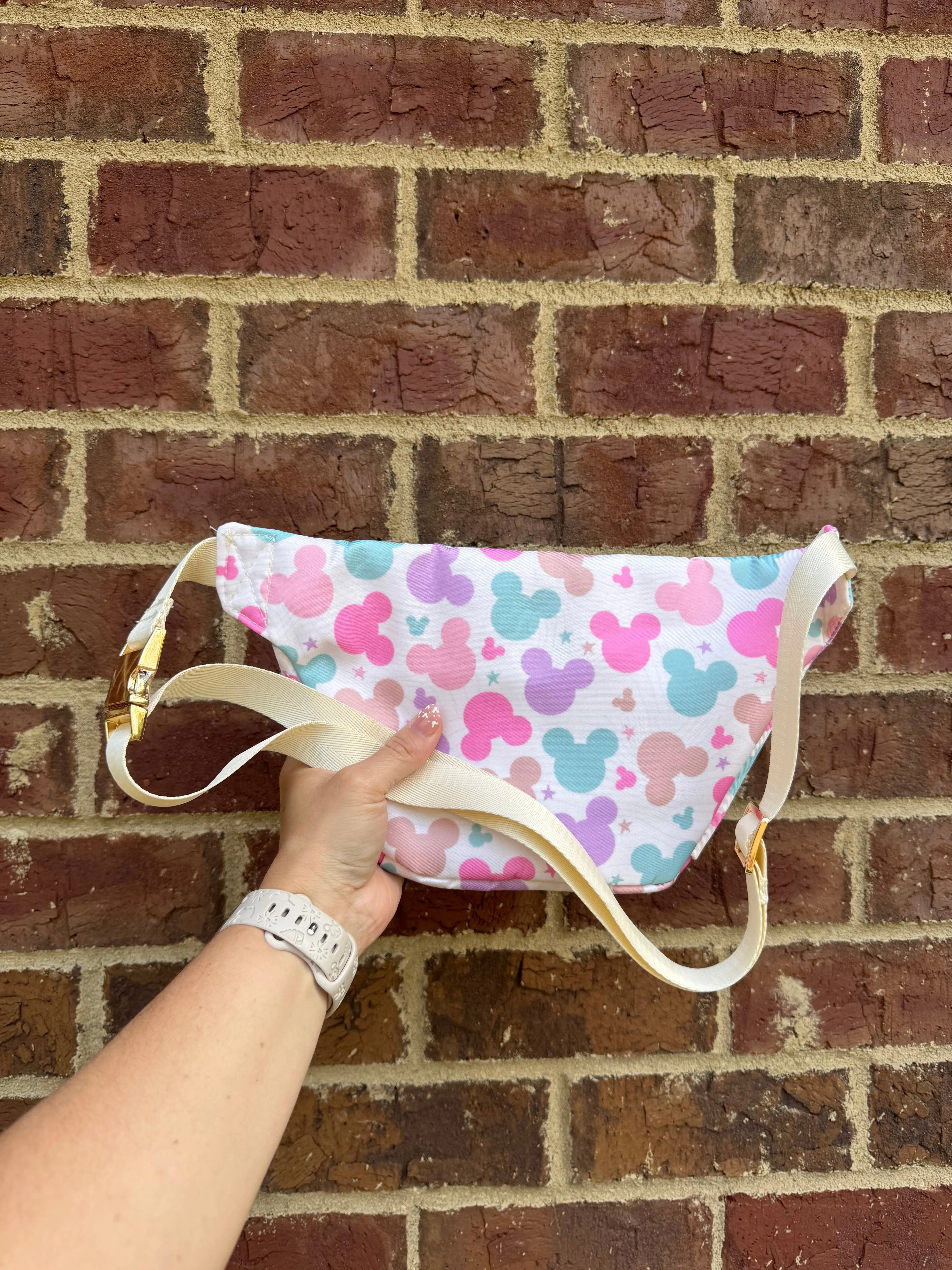 Mutli Color Mouse LARGE Fanny Pack