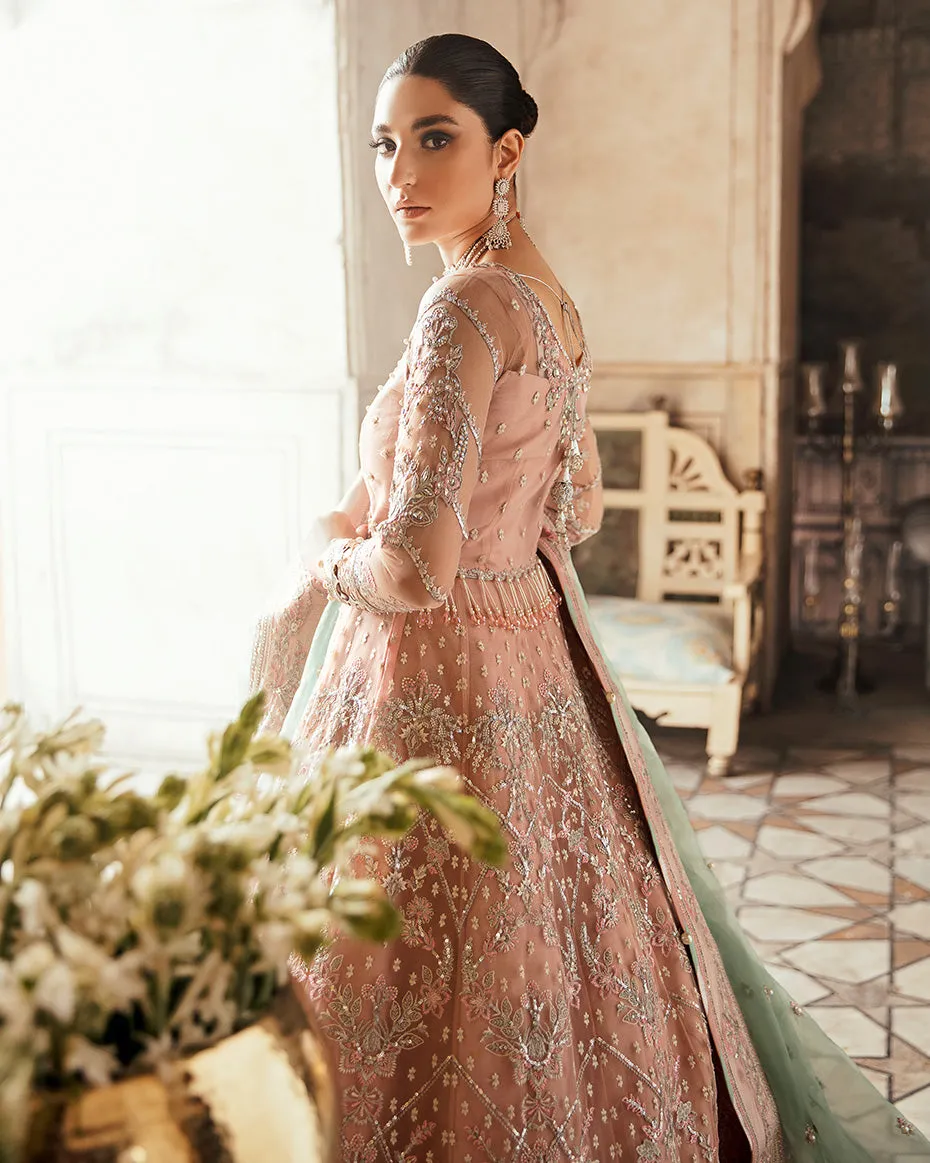 Nagaar Embroidered Net 3-Piece Suit WU-02