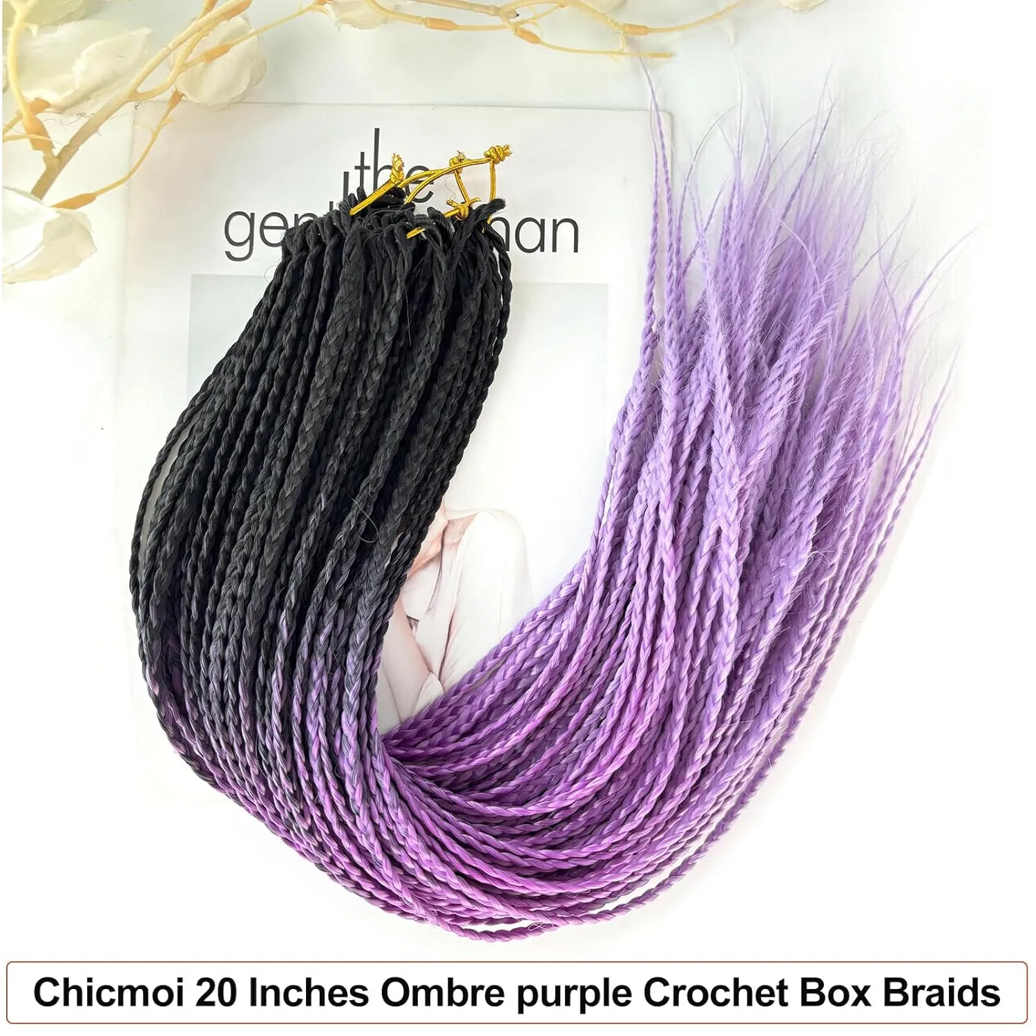 Ombre Purple Crochet Box Braids Pre Looped Crochet Braids for Women and Girl 20 Inch Small Size Thin Braid Hair Extension (Ombre Purple, 20 inch box braids 6 packs)