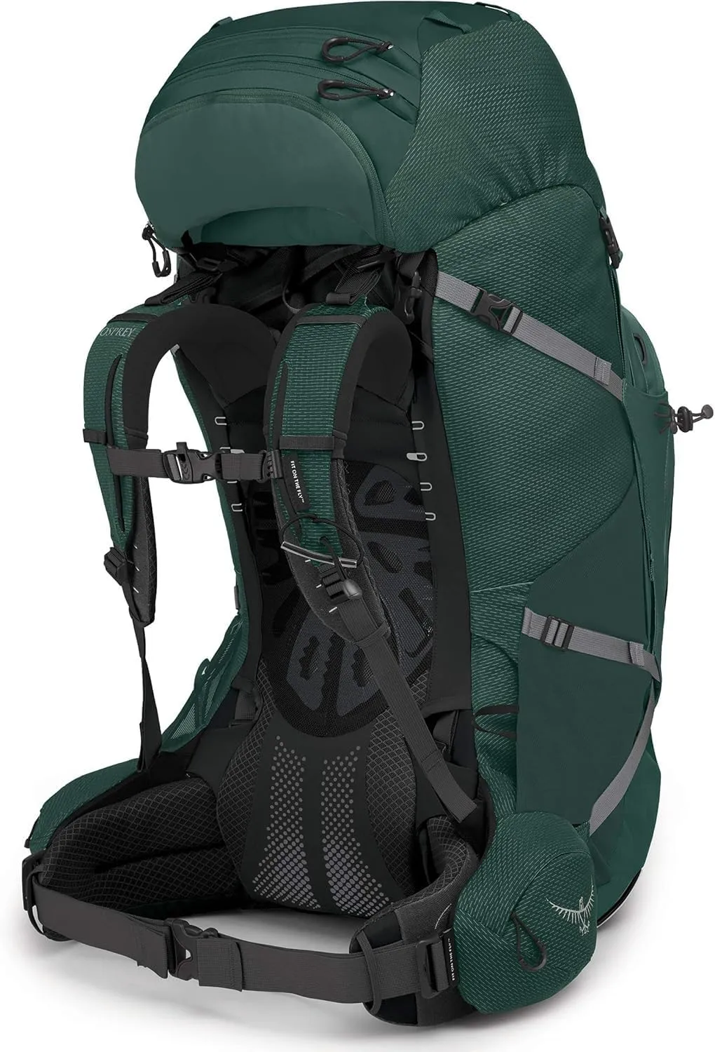 Osprey Aether Plus 85L Men's Backpacking Backpack, Axo Green, L/XL