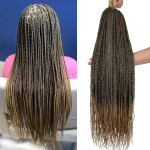 Pre Looped Crochet Box Braids 24 Inch T27 Ombre Honey Blonde Box Braid Crochet Hair 1/3 Inch Wide 1B/27 Small Prelooped Crochet Braids Hair for Black Women(T27, 24 inch 6 pack)