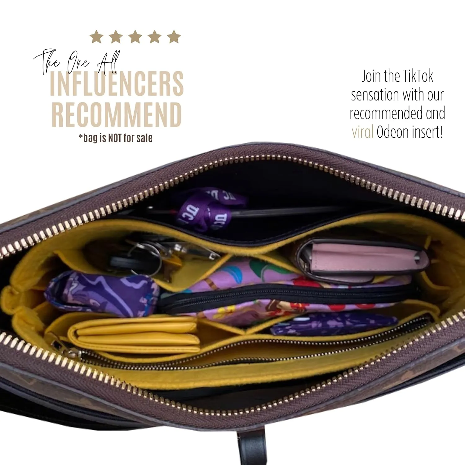 Purse Organizer for Odeon Bag, Lv Odeon PM Purse Organizer, Bag Organizer for Lv Odeon MM, Handmade 2mm Premium Felt Snug Sturdy Gold Zipper (For Odeon PM, Black)